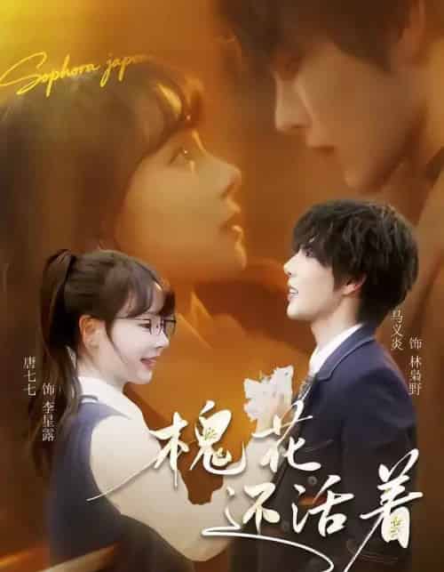 槐花还活着(70集全)马义炎&唐七七-搜外项目网