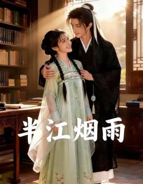 半江烟雨(60集全)AI-搜外项目网