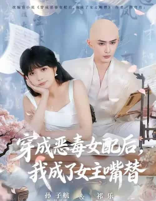 穿成恶毒女配后,我成了女主嘴替&陆总,夫人她改邪归正(80集全)孙子航&祁乐-搜外项目网