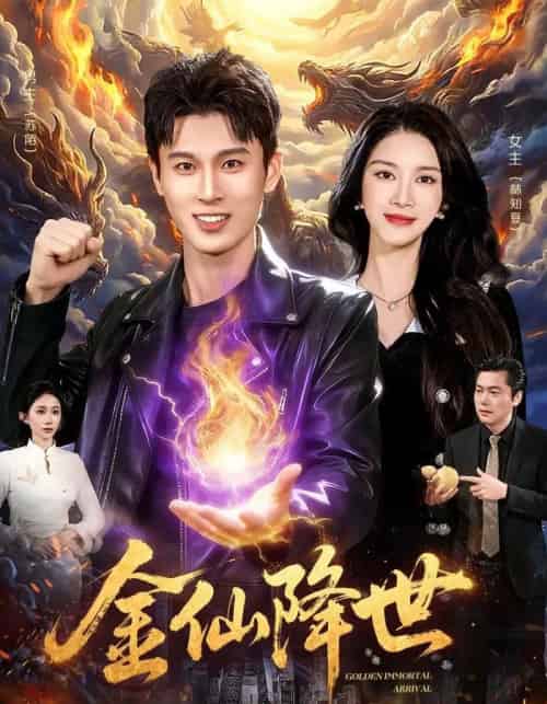 金仙降世(91集全)陈昕乔&陈思浩-搜外项目网