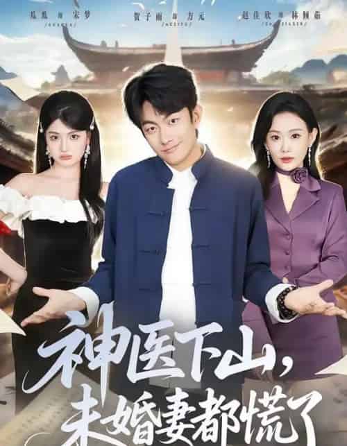 神医下山,未婚妻都慌了(71集全)贺子雨&赵佳欣-搜外项目网