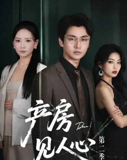 产房见人心第二季(75集全)任燕&珑一-搜外项目网