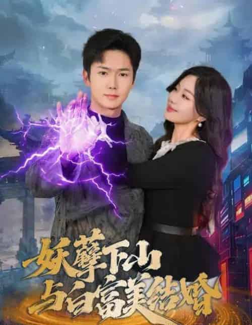妖孽下山与白富美结婚(83集全)许顺利&杨雪玉-搜外项目网