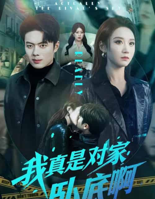 我真是对家卧底啊(100集全)林千仟&韩一波-搜外项目网