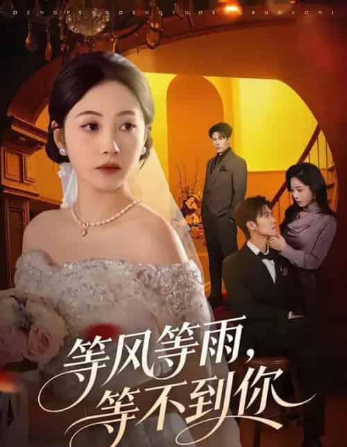 等风等雨,等不到你(65集全)陈京霖&曾和惠子-搜外项目网