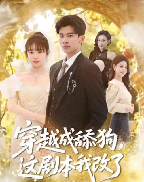 穿越成舔狗,这剧本我改了(80集全)杜宇琪&曲岩-搜外项目网