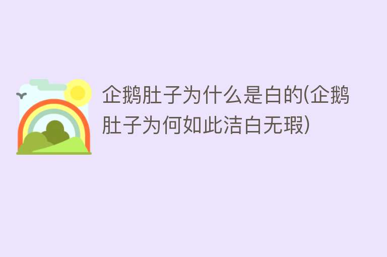 企鹅肚子为什么是白的(企鹅肚子为何如此洁白无瑕)