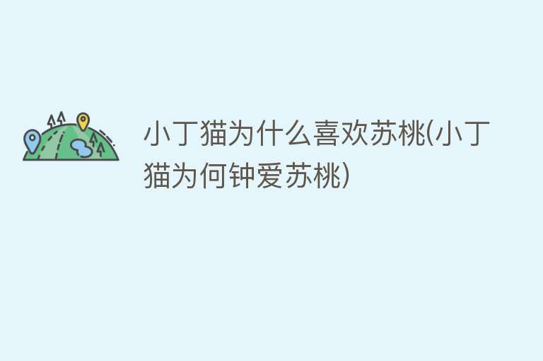 小丁猫为什么喜欢苏桃(小丁猫为何钟爱苏桃)