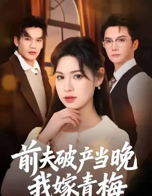 前夫破产当晚我嫁青梅(60集全)黄圣杰&翁淇-搜外项目网