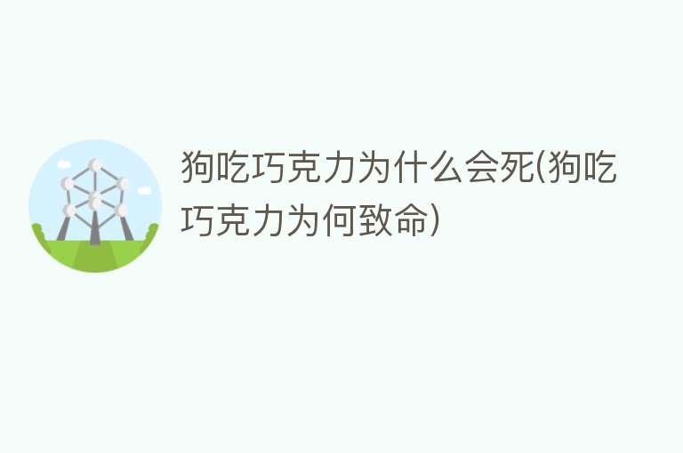 狗吃巧克力为什么会死(狗吃巧克力为何致命)