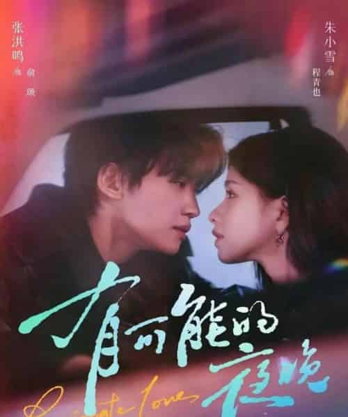 有可能的夜晚(81集全)张洪鸣&朱小雪-搜外项目网