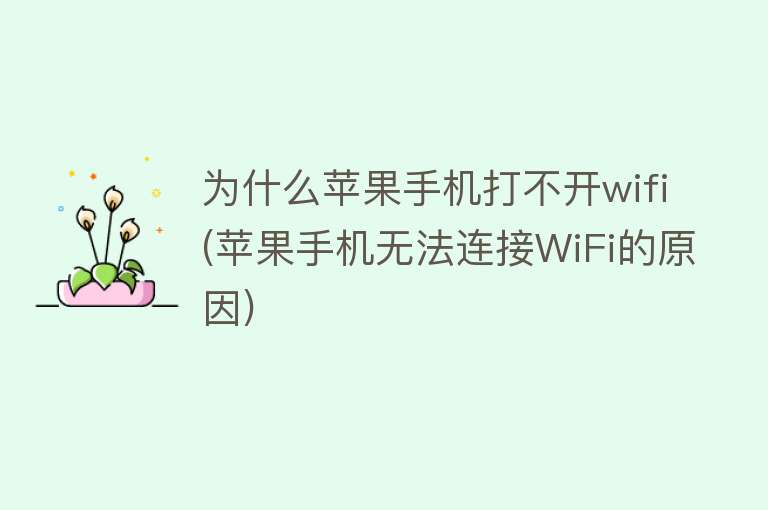 为什么苹果手机打不开wifi(苹果手机无法连接WiFi的原因)