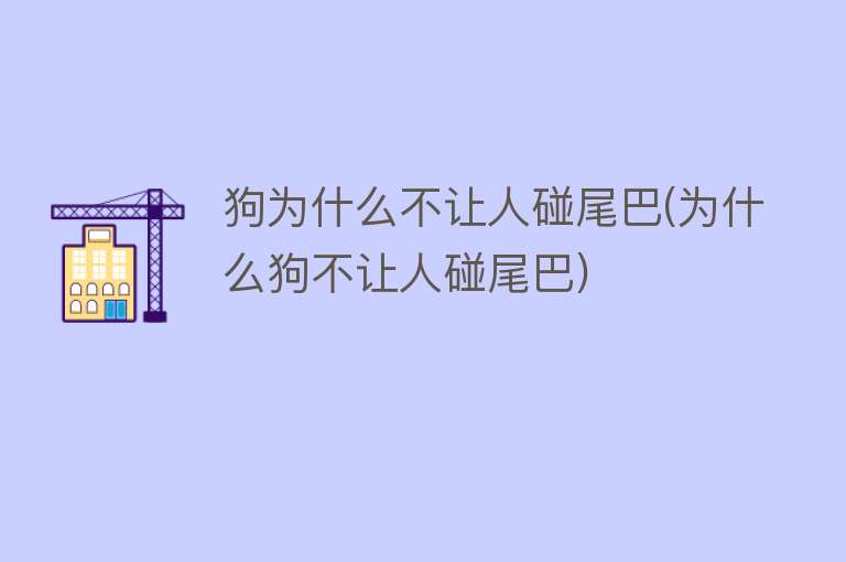 狗为什么不让人碰尾巴(为什么狗不让人碰尾巴)