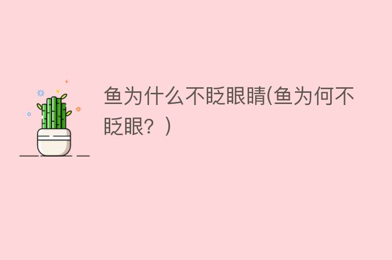 鱼为什么不眨眼睛(鱼为何不眨眼？)