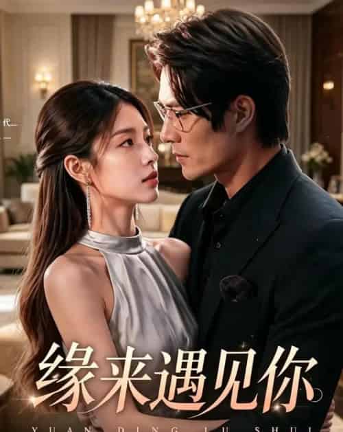 缘来遇见你(29集全)张秋怡&于航-搜外项目网