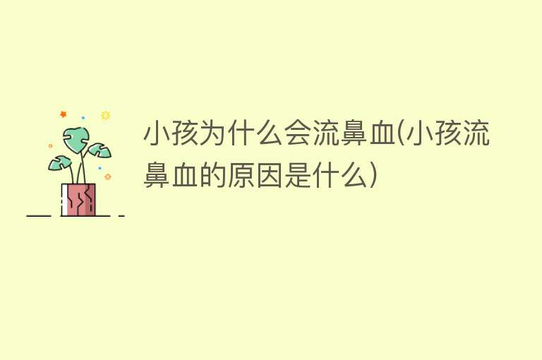 小孩为什么会流鼻血(小孩流鼻血的原因是什么)