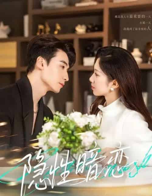 隐性暗恋(100集全)黄鑫辉&沈婉婷-搜外项目网