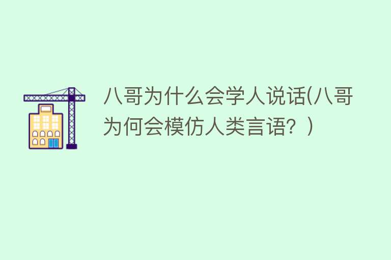 八哥为什么会学人说话(八哥为何会模仿人类言语？)