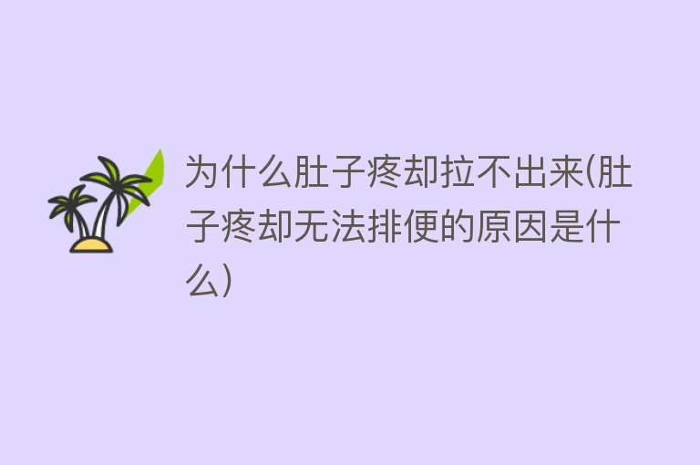 为什么肚子疼却拉不出来(肚子疼却无法排便的原因是什么)