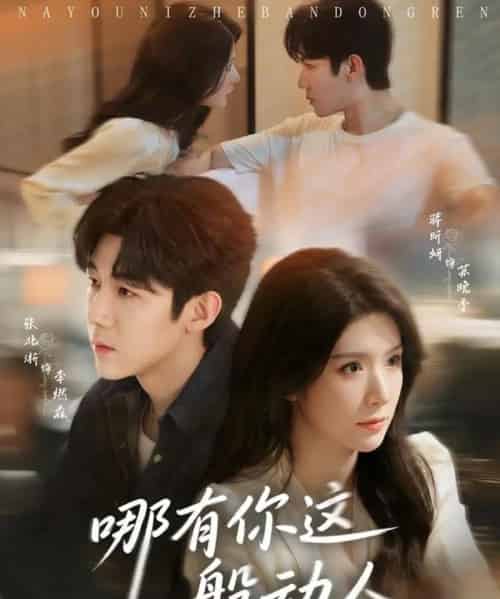 哪有你这般动人(70集全)张北淅&蒋昕妍-搜外项目网