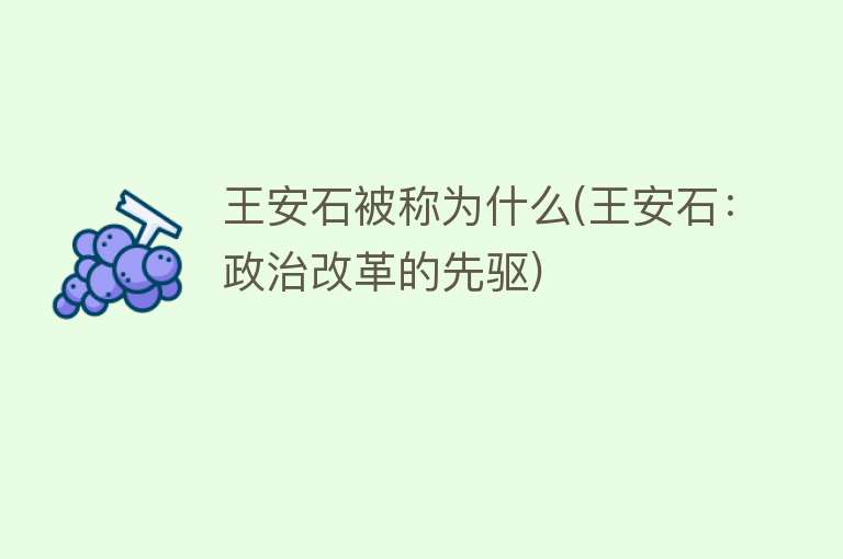 王安石被称为什么(王安石：政治改革的先驱)