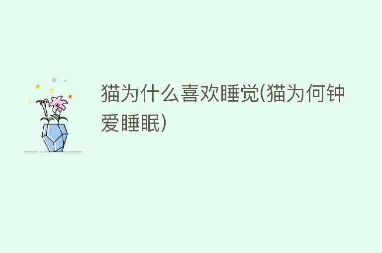 猫为什么喜欢睡觉(猫为何钟爱睡眠)