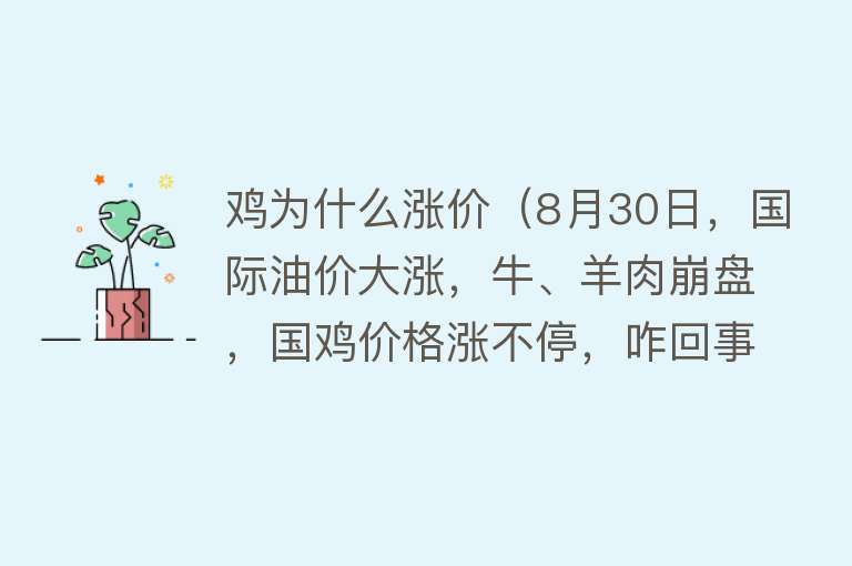 鸡为什么涨价（8月30日，国际油价大涨，牛、羊肉崩盘，国鸡价格涨不停，咋回事）