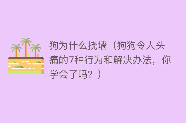 狗为什么挠墙（狗狗令人头痛的7种行为和解决办法，你学会了吗？）