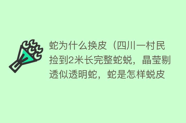 蛇为什么换皮（四川一村民捡到2米长完整蛇蜕，晶莹剔透似透明蛇，蛇是怎样蜕皮）