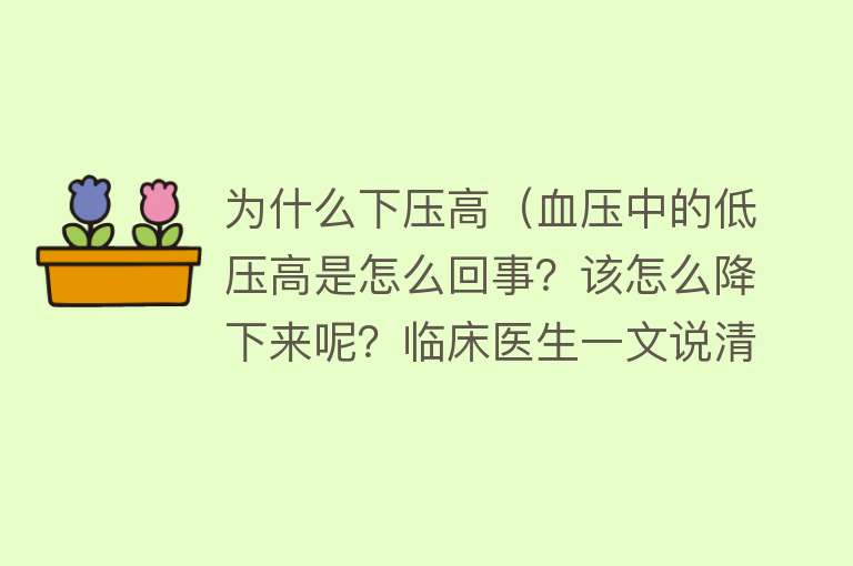 为什么下压高（血压中的低压高是怎么回事？该怎么降下来呢？临床医生一文说清楚）