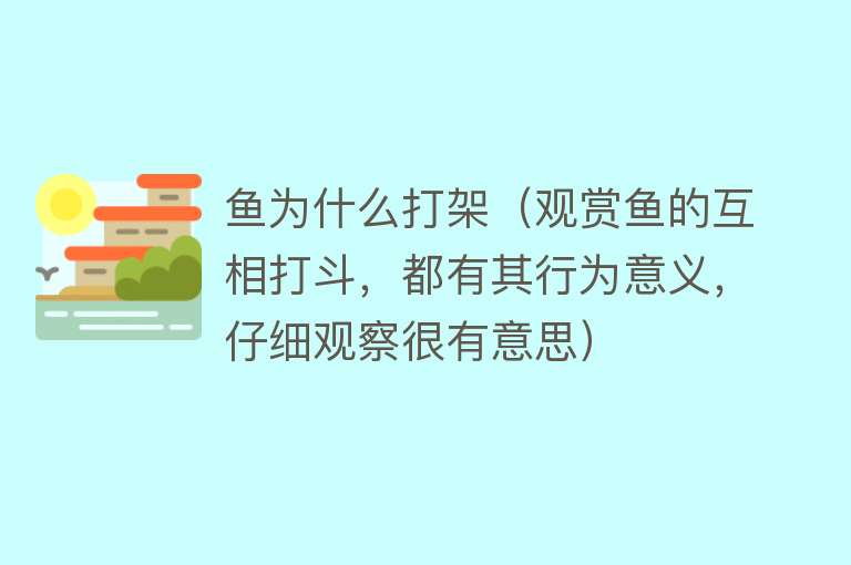 鱼为什么打架（观赏鱼的互相打斗，都有其行为意义，仔细观察很有意思）