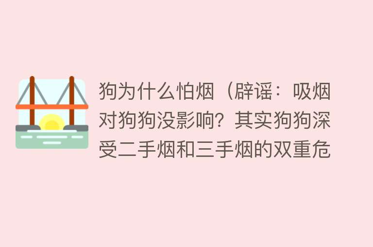 狗为什么怕烟（辟谣：吸烟对狗狗没影响？其实狗狗深受二手烟和三手烟的双重危害）