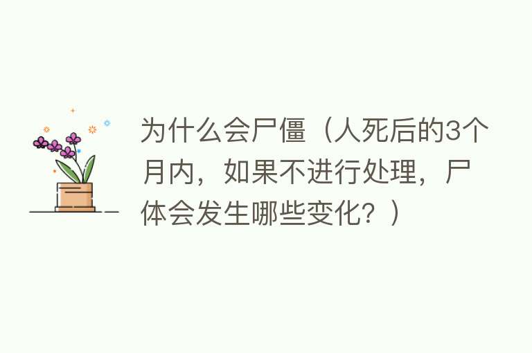 为什么会尸僵（人死后的3个月内，如果不进行处理，尸体会发生哪些变化？）