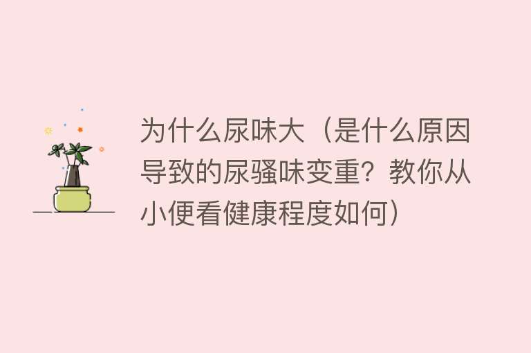 为什么尿味大（是什么原因导致的尿骚味变重？教你从小便看健康程度如何）