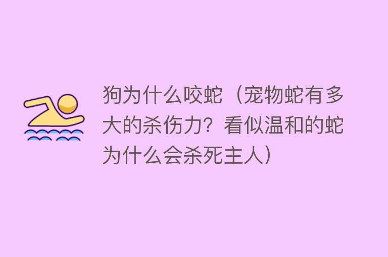 狗为什么咬蛇（宠物蛇有多大的杀伤力？看似温和的蛇为什么会杀死主人）