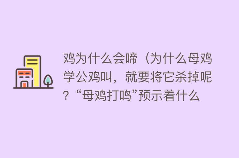 鸡为什么会啼（为什么母鸡学公鸡叫，就要将它杀掉呢？“母鸡打鸣”预示着什么？）