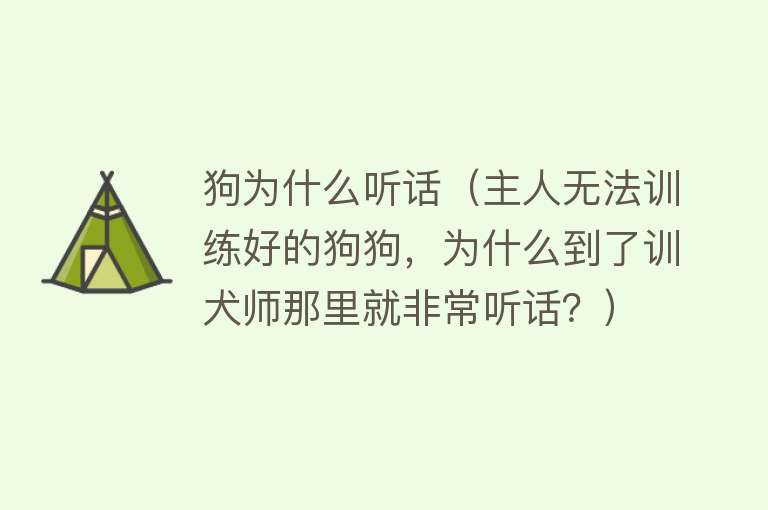 狗为什么听话（主人无法训练好的狗狗，为什么到了训犬师那里就非常听话？）