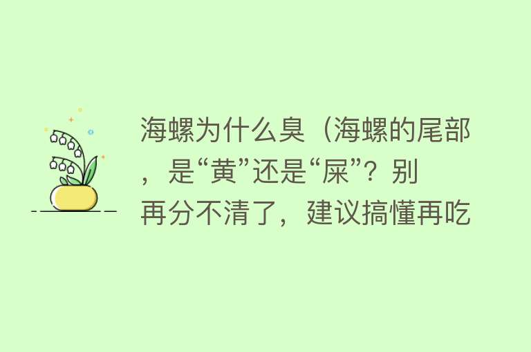 海螺为什么臭（海螺的尾部，是“黄”还是“屎”？别再分不清了，建议搞懂再吃）