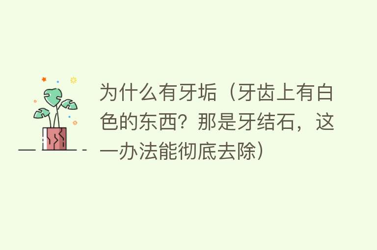 为什么有牙垢（牙齿上有白色的东西？那是牙结石，这一办法能彻底去除）