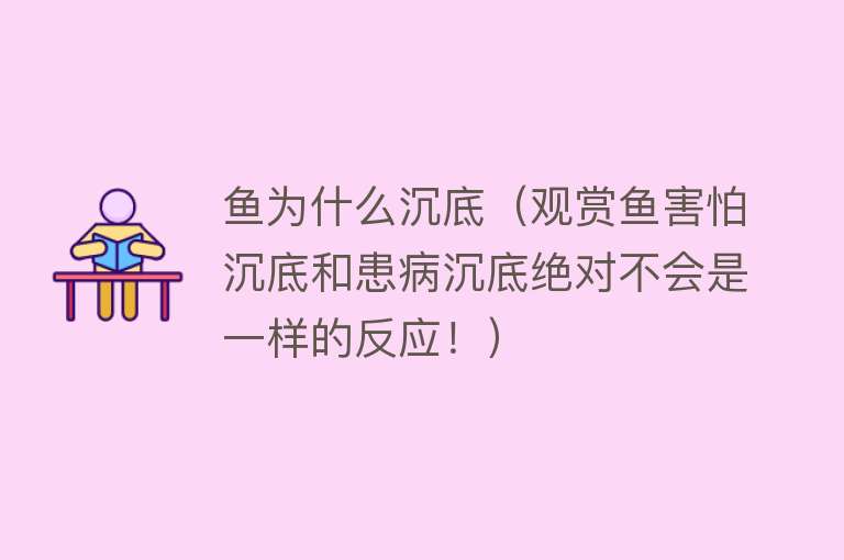 鱼为什么沉底（观赏鱼害怕沉底和患病沉底绝对不会是一样的反应！）