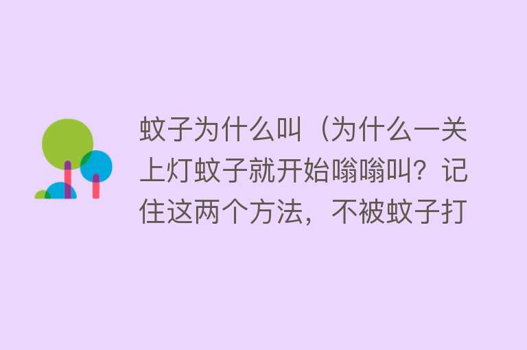 蚊子为什么叫（为什么一关上灯蚊子就开始嗡嗡叫？记住这两个方法，不被蚊子打扰）