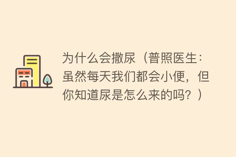 为什么会撒尿（普照医生：虽然每天我们都会小便，但你知道尿是怎么来的吗？）