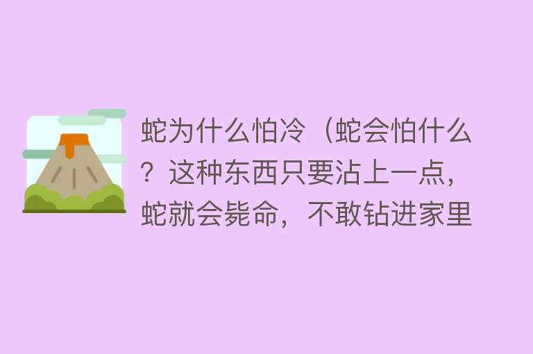 蛇为什么怕冷（蛇会怕什么？这种东西只要沾上一点，蛇就会毙命，不敢钻进家里来）