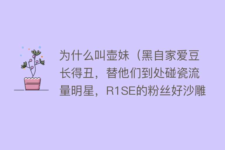 为什么叫壶妹（黑自家爱豆长得丑，替他们到处碰瓷流量明星，R1SE的粉丝好沙雕啊）