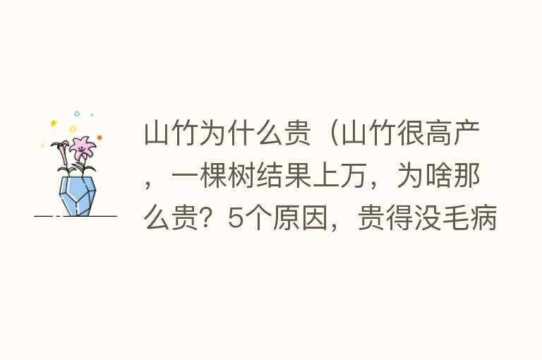 山竹为什么贵（山竹很高产，一棵树结果上万，为啥那么贵？5个原因，贵得没毛病）