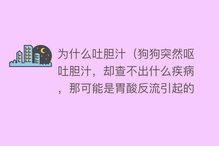 为什么吐胆汁（狗狗突然呕吐胆汁，却查不出什么疾病，那可能是胃酸反流引起的）