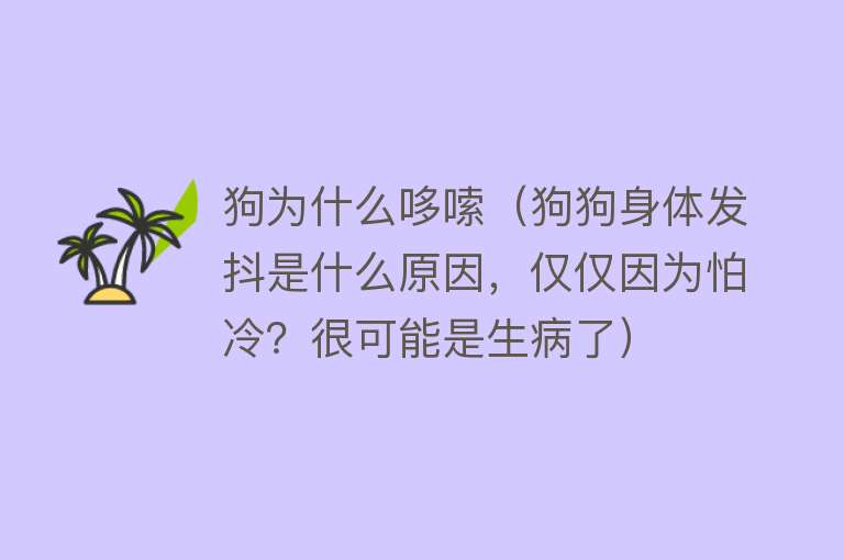 狗为什么哆嗦（狗狗身体发抖是什么原因，仅仅因为怕冷？很可能是生病了）