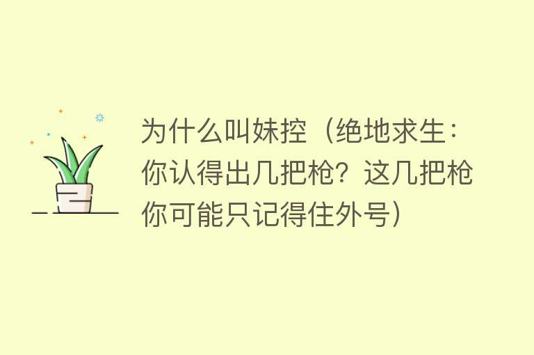 为什么叫妹控（绝地求生：你认得出几把枪？这几把枪你可能只记得住外号）