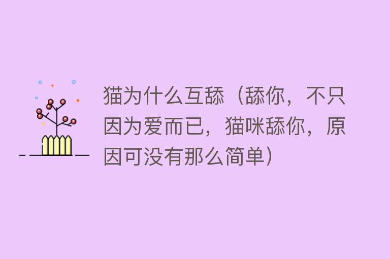 猫为什么互舔（舔你，不只因为爱而已，猫咪舔你，原因可没有那么简单）