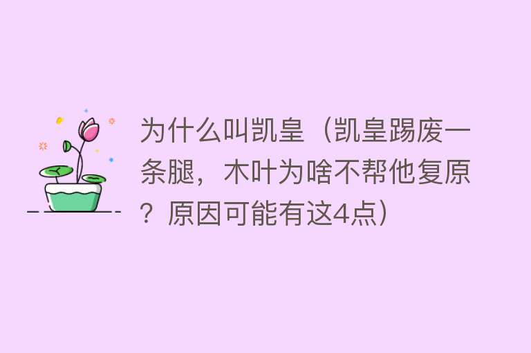 为什么叫凯皇（凯皇踢废一条腿，木叶为啥不帮他复原？原因可能有这4点）